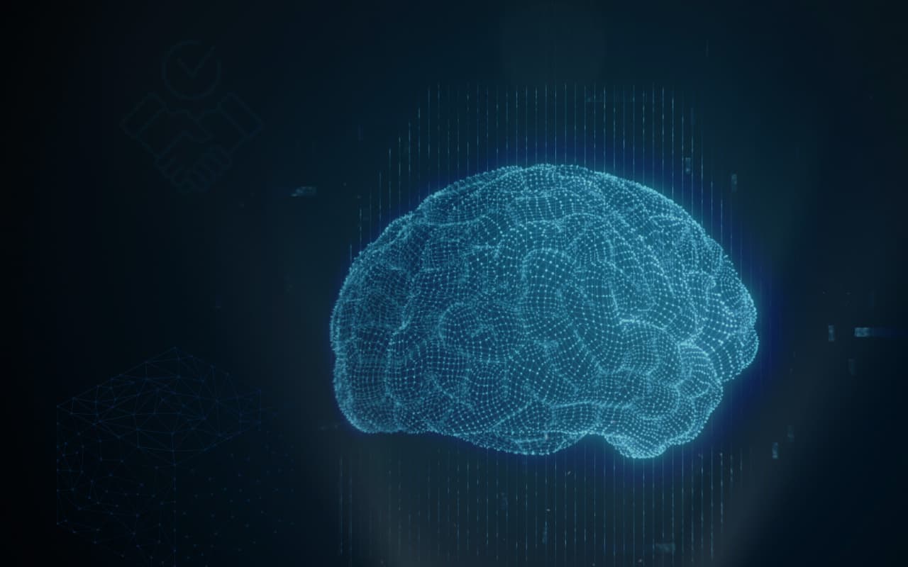 Veracite Human-In-The-Loop Banner Image